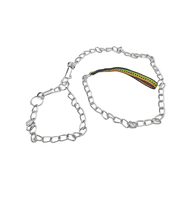 Chain Leash