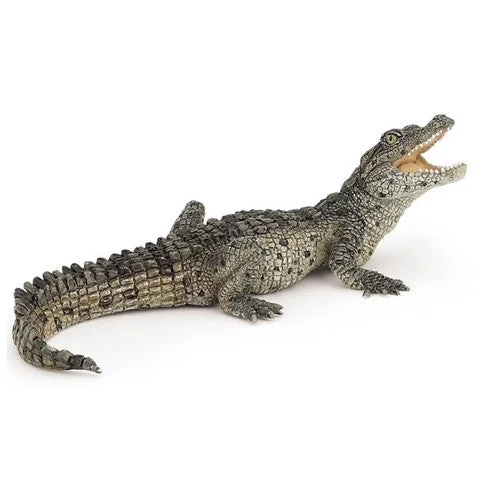 Crocodile, small